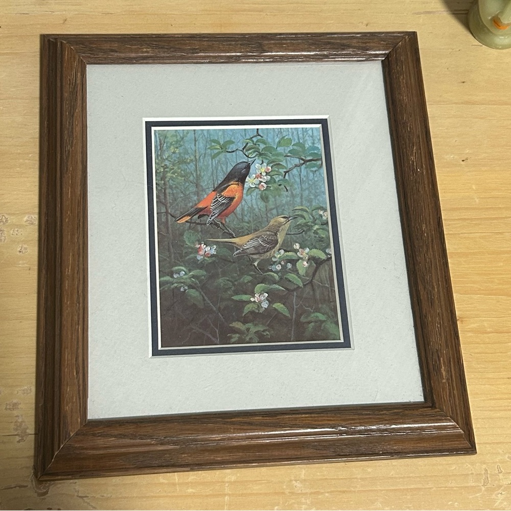 ❤️🕊️Framed Bird Art Print with Wooden Frame